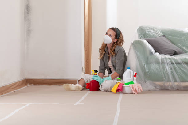 Reliable Mold Testing contractor in Williamsburg, PA by WQB Mold Removal